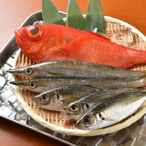 三崎港の鮮魚